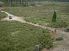 Archeologická rezervace Kamienne Kregi: Odry u Czerska - Polsko